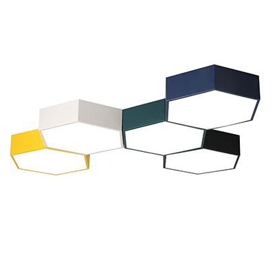 modern design ceiling light.png