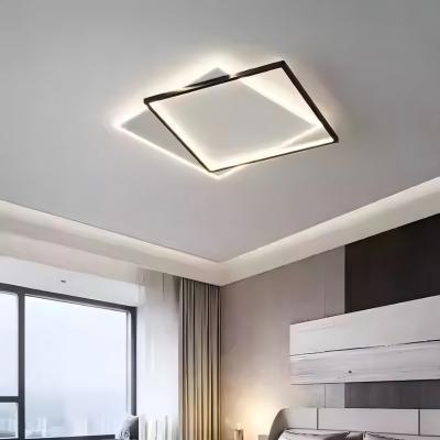 20250210 ceiling light square.jpg