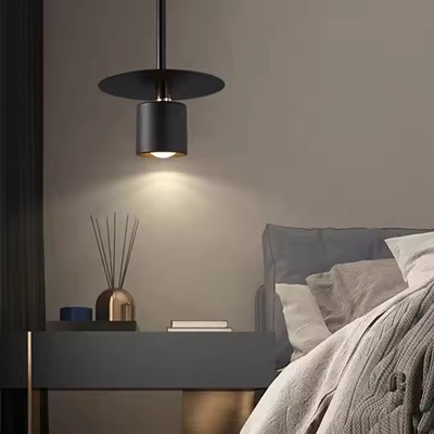 Customized pendant lamp 20250215.jpg